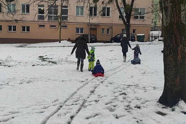 Obrázek č.12
